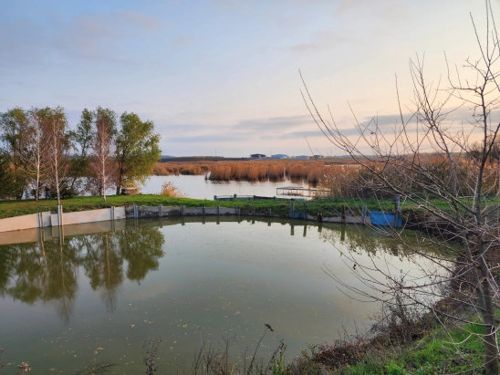 Дом 71 м² на участке 27 соток с баней, сауной, прудом и плодовым садом