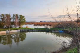 Дом 71 м² на участке 27 соток с баней, сауной, прудом и плодовым садом