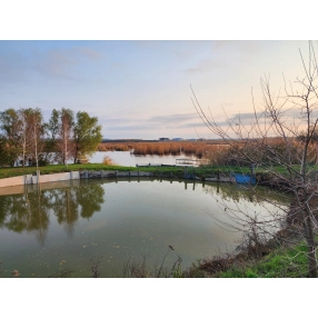 Дом 71 м² на участке 27 соток с баней, сауной, прудом и плодовым садом